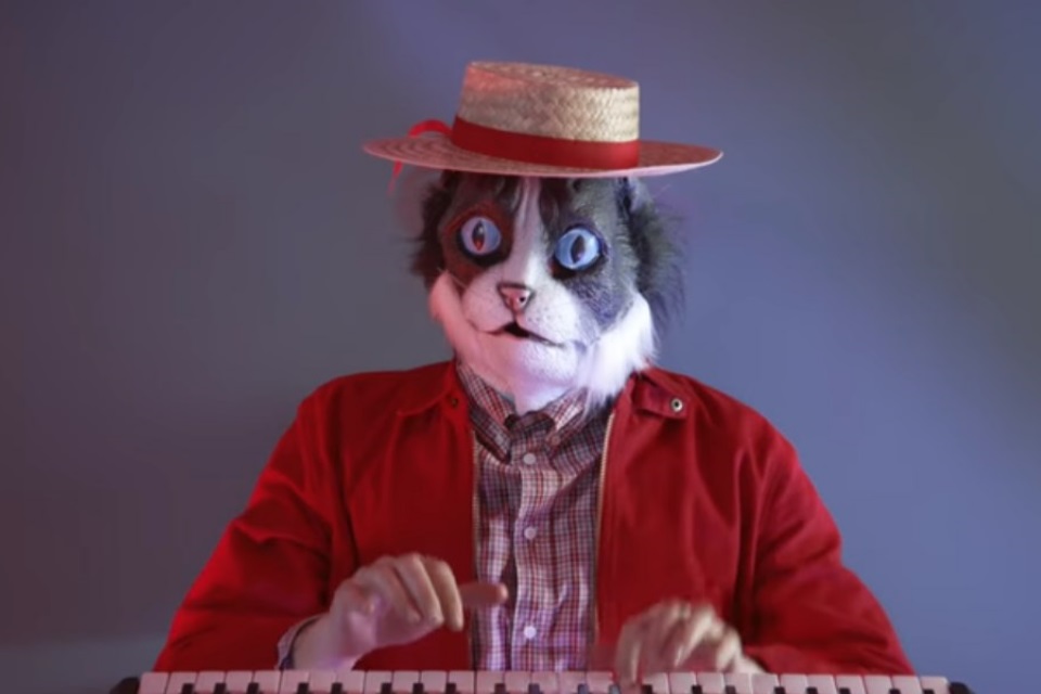Imagem de Microsoft diz que Macbooks são menos úteis que chapéus para gatos; é sério no tecmundo