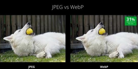 Imagem de Google aposta em WebP e VP9 como novos formatos de imagem e vídeo no site TecMundo