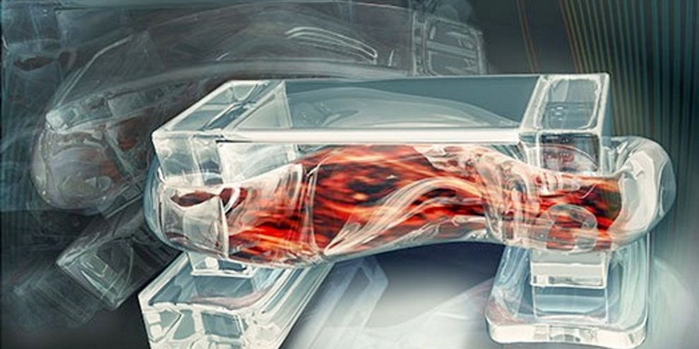 Imagem de Biorrobô utiliza células musculares para se movimentar no site TecMundo