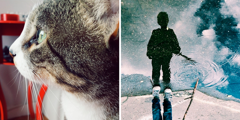 Imagem de 5 aplicativos e dicas para melhorar a qualidade das fotos do seu celular no site TecMundo
