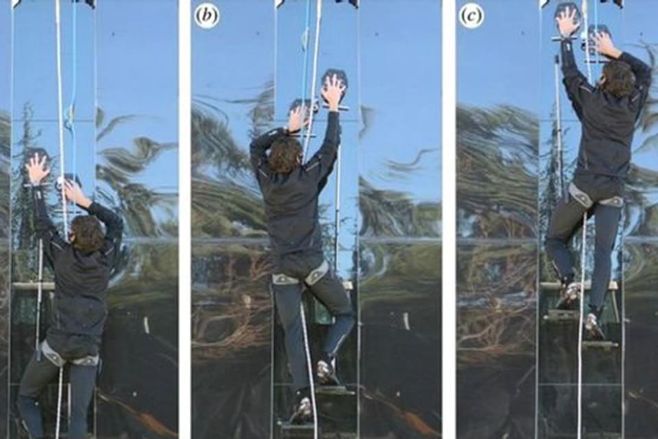 Imagem de Homem-Aranha: cientistas desenvolvem acessório que permite escalar paredes no site TecMundo