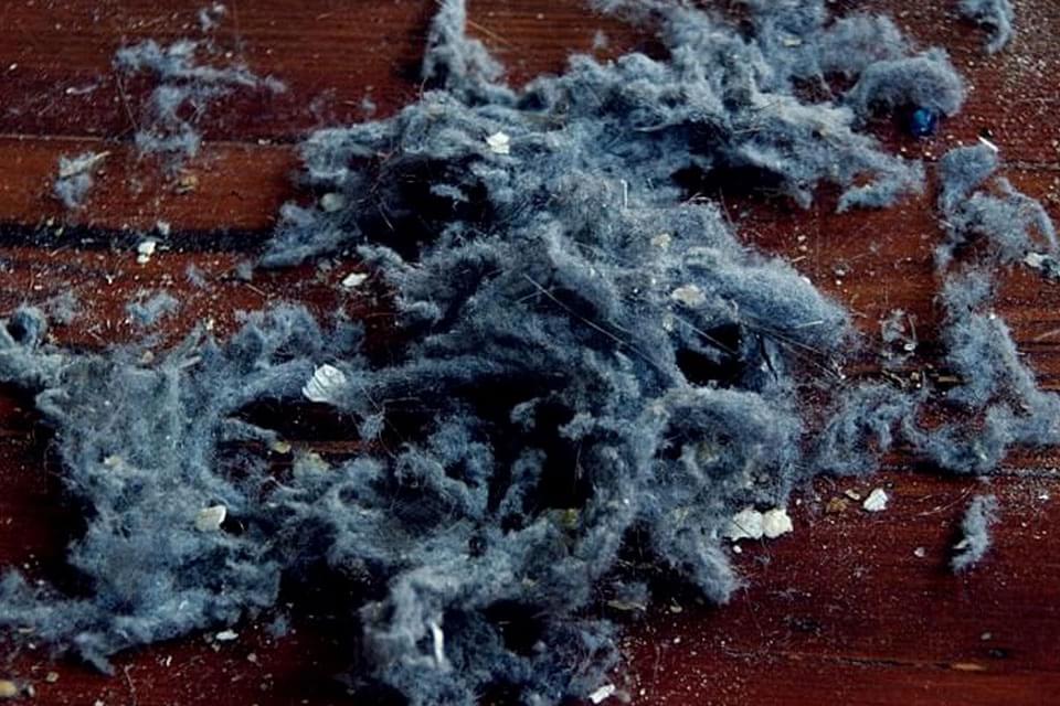 Imagem de Veja por que é importante tirar a capinha do celular para limpar o aparelho no site TecMundo