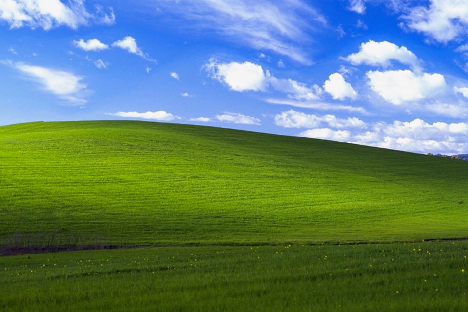 Imagem de Famoso papel de parede do Windows XP completa 20 anos e Microsoft comemora no tecmundo