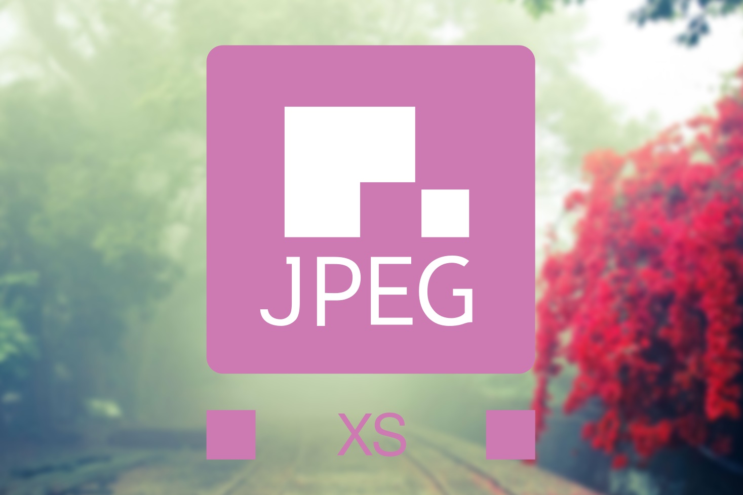 Imagem de JPEG XS é o novo formato de imagem dedicado a VR e streaming no tecmundo
