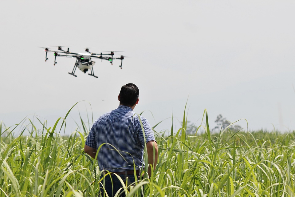 Imagem de Colômbia testa drones para destruir plantações usadas em cocaína no tecmundo
