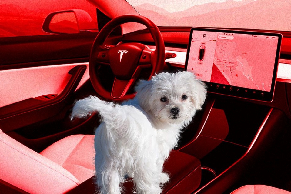 Imagem de Tesla vai lançar “Modo Cão” e “Modo Sentinela” nos automóveis Model 3 no tecmundo