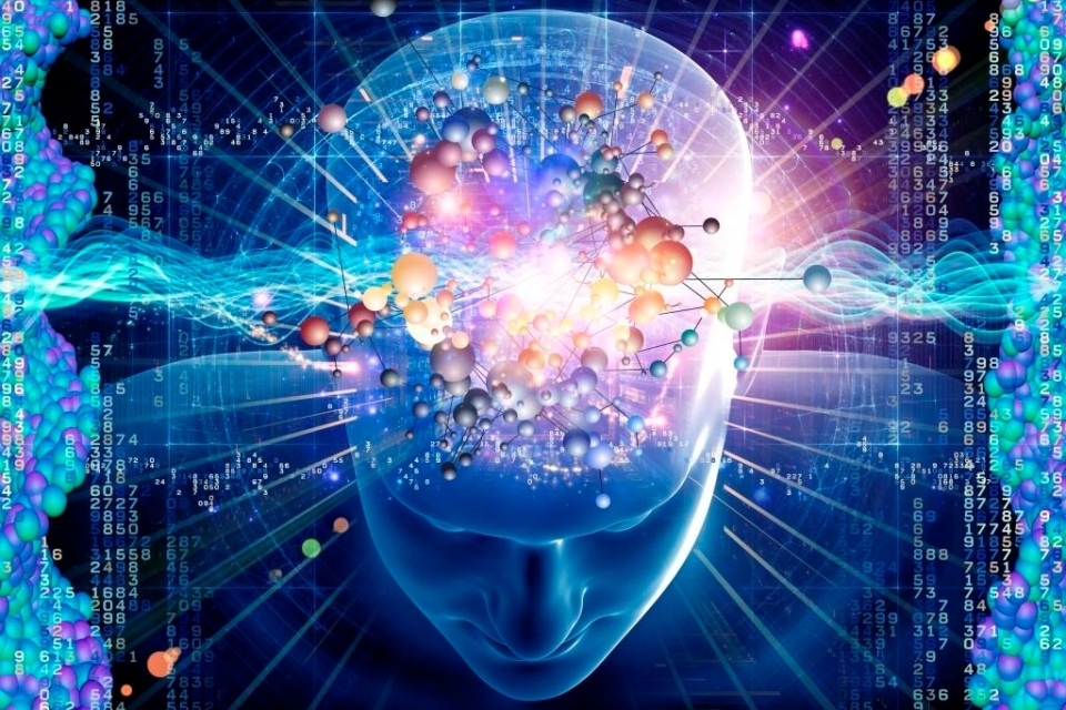 Imagem de O que acontece no seu cérebro quando você aprende um novo idioma? no tecmundo